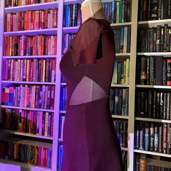 Burgundy stretchy slim dress, part mesh, athletic dress - Picture 2 of 5